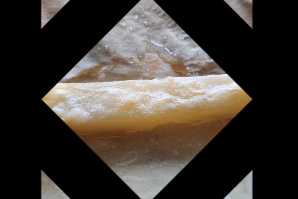 fermented french fry