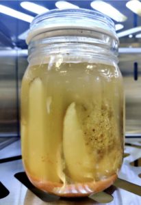 fries fermenting in brine